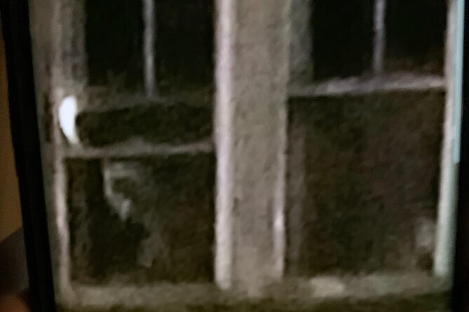 A Ghost Hunting Tour Specters and Apparitions in Salem - Howard Street Cemetery: spirit boxes, flashlights, and laser light grids