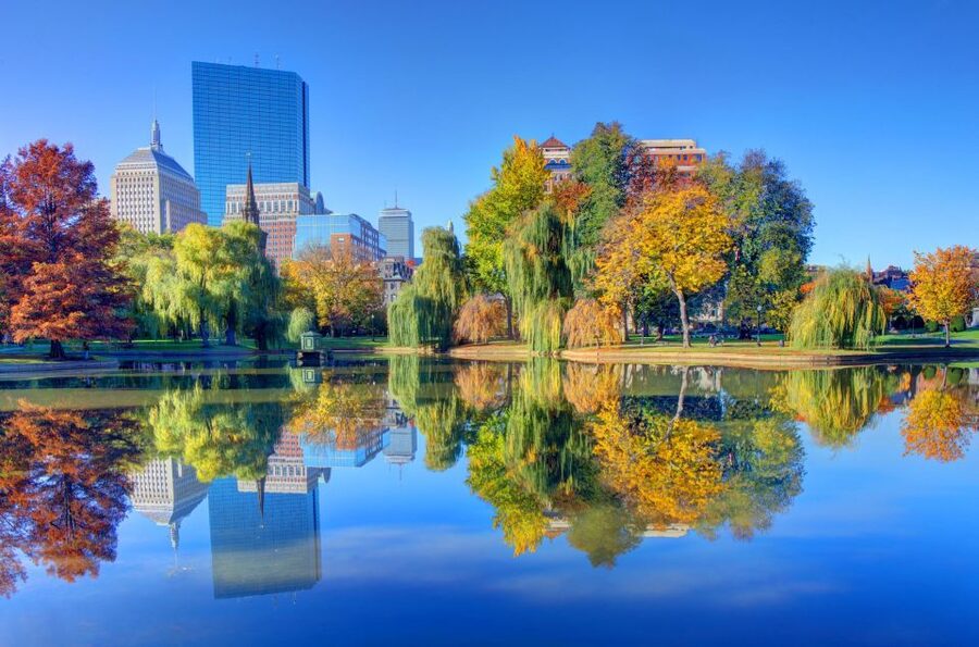 Best of Boston: Full-Day Private Tour - Pine Tree Riot to Boston Tea Party, how the protests connect