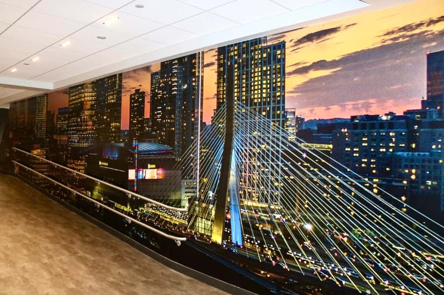 Boston: Bruins Heritage Hall & Optional Sports Museum Tour - Should You Book the Boston Bruins Heritage Hall and Sports Museum Tour?