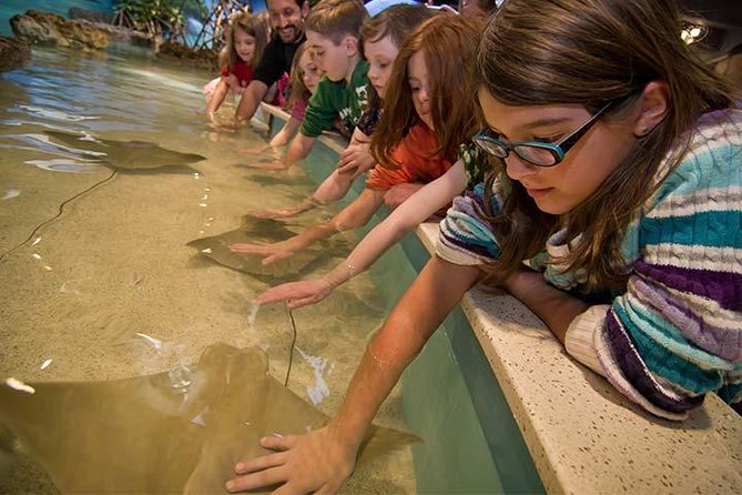Boston CityPASS® - New England Aquarium: Central Tank, Penguins, and Sea Lions