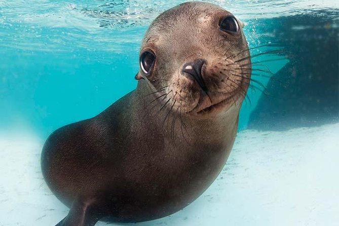 Boston CityPASS® - Museum of Science: Fun Exhibits That Reward Extra Time