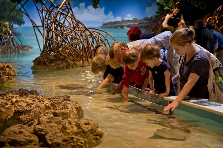 Boston CityPASS®: Save up to 46% at 4 Top Attractions - New England Aquarium: A Relaxed Start With Real-World Wonder