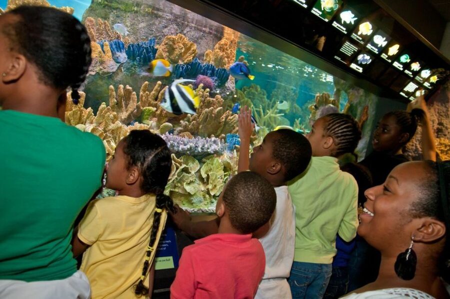 Boston CityPASS®: Save up to 46% at 4 Top Attractions - Museum of Science: Hands-On Stops That Keep Kids and Adults Busy