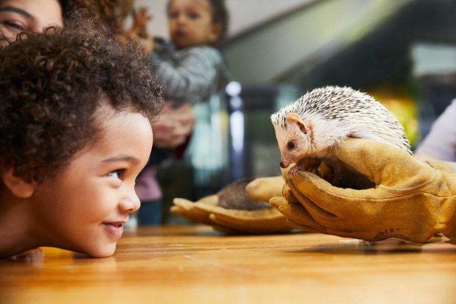 Boston CityPASS®: Save up to 46% at 4 Top Attractions - Smart Pairings: Build Days That Match Your Mood