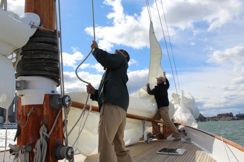 Boston: Downtown Harbor Sailing Cruise - Should you book the Downtown Harbor Sailing Cruise?