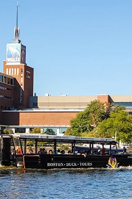 Boston Duck Tour: The Original and World-Famous - The vibe: why this 80-minute Duck Tour works