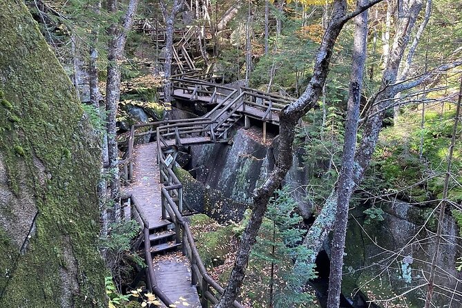 Boston Fall Foliage Day Trip to White Mountains, Lost River Gorge - Why this Boston-to-White-Mountains loop is such an easy win