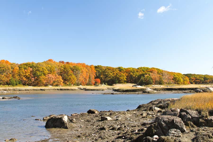 Boston Harbor: Fall Foliage Luncheon Cruise - Helpful Practical Tips Before You Go