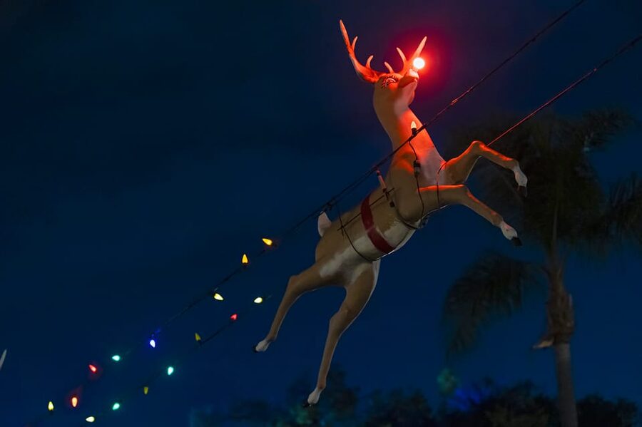 Boston: Holiday Sights and Festive Nights Trolley Tour - What This Boston Holiday Trolley Tour Is Really Like