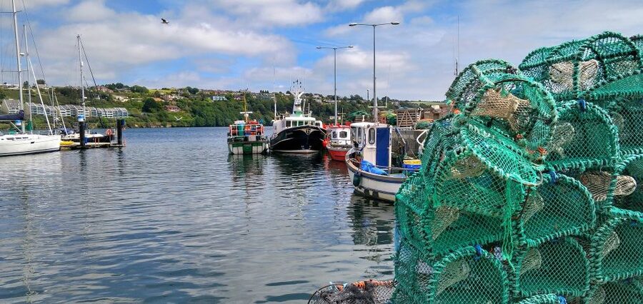Boston: Kennebunkport Day Trip with Optional Lobster Tour - Who This Boston To Kennebunkport Trip Fits Best