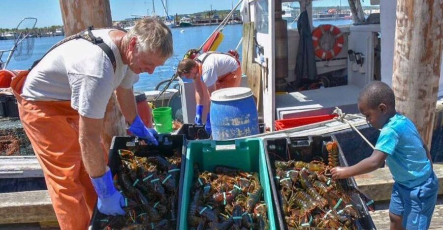 Boston: Kennebunkport Day Trip with Optional Lobster Tour - Minibus Transport: Comfort, Context, And Less Planning