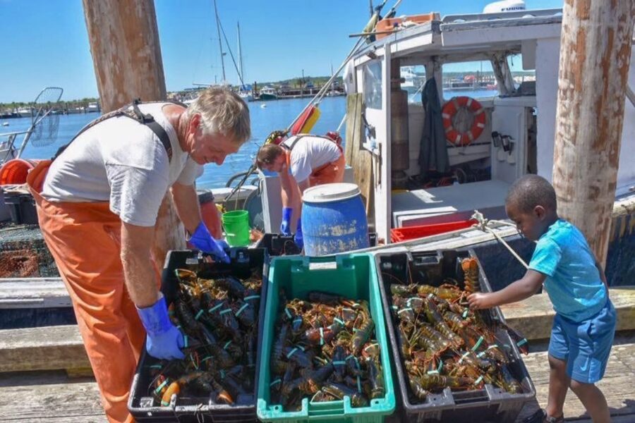 Boston: Kennebunkport Day Trip with Optional Lobster Tour - Optional Lobster Tour: Choose The Depth, Not The Stress