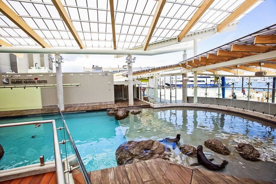 Boston: New England Aquarium Entry + Optional Simons Theatre - Key Points Before You Go