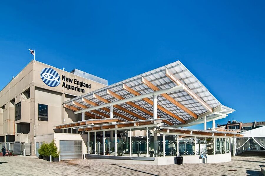 Boston: New England Aquarium Entry + Optional Simons Theatre - The Reef Walk: Caribbean Coral, Indo-Pacific Life, and Big Tank Drama