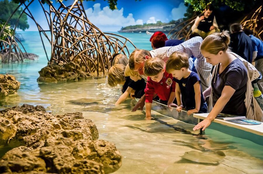 Boston: New England Aquarium Entry + Optional Simons Theatre - How I’d Plan Your Day (Without Overthinking It)
