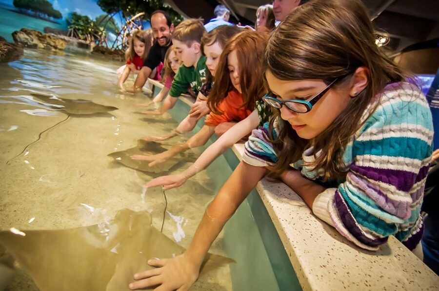 Boston: New England Aquarium Entry + Optional Simons Theatre - Penguins First, Then the Giant Ocean Tank Pulls You In