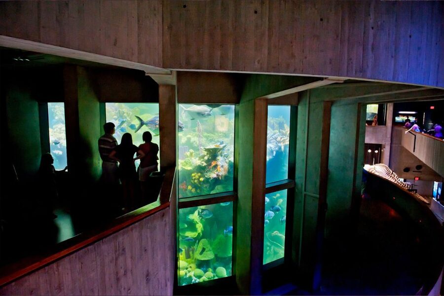 Boston Pass: Save up to 50% - Includes Franklin Park Zoo - Boston All-Inclusive Pass: what you’re really getting