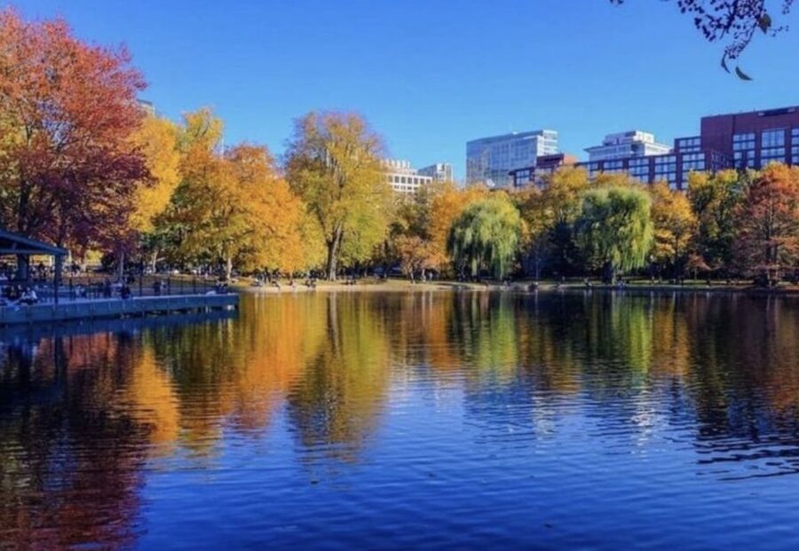Boston Premium Driving Tour with Boat Cruise and Bunker Hill - Who this tour suits best (and who might feel limited)
