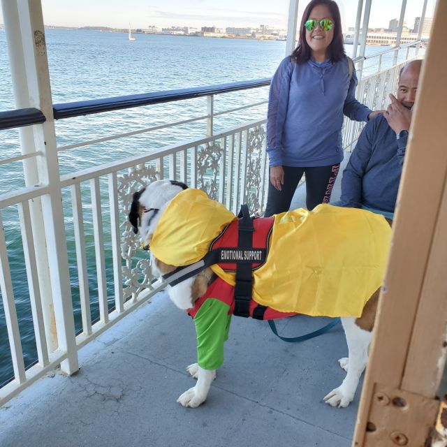 Boston: Scenic Harbor Cruise (Dog-Friendly) - Getting There Without Stress: Check-In, Gate C, and Timing