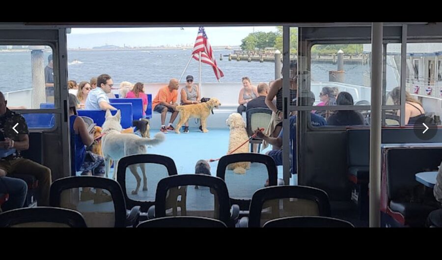 Boston: Scenic Harbor Cruise (Dog-Friendly) - USS Constitution at the Charleston Navy Yard, Why This Stop Matters