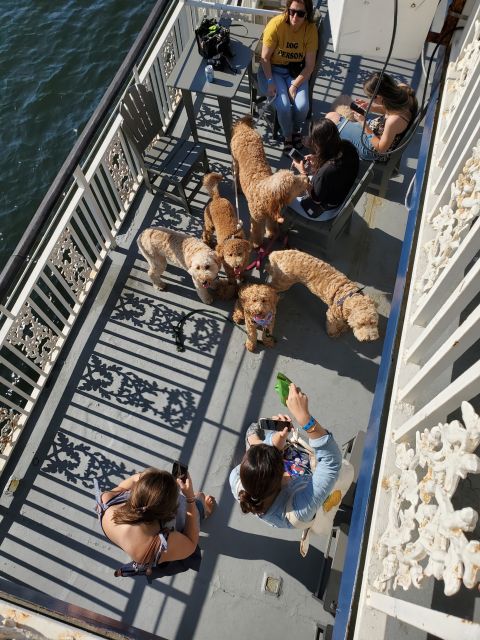 Boston: Scenic Harbor Cruise (Dog-Friendly) - Finishing at the North End, Then Back to Rowes Wharf