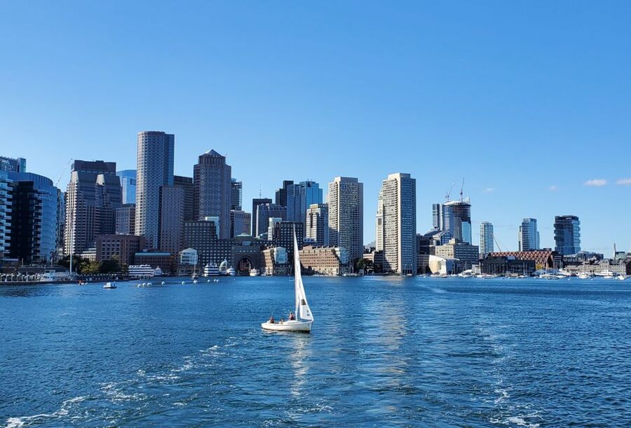 Boston: Scenic Harbor Cruise (Dog-Friendly) - Dog-Friendly Cruise With Your Pet, Without Making It Awkward