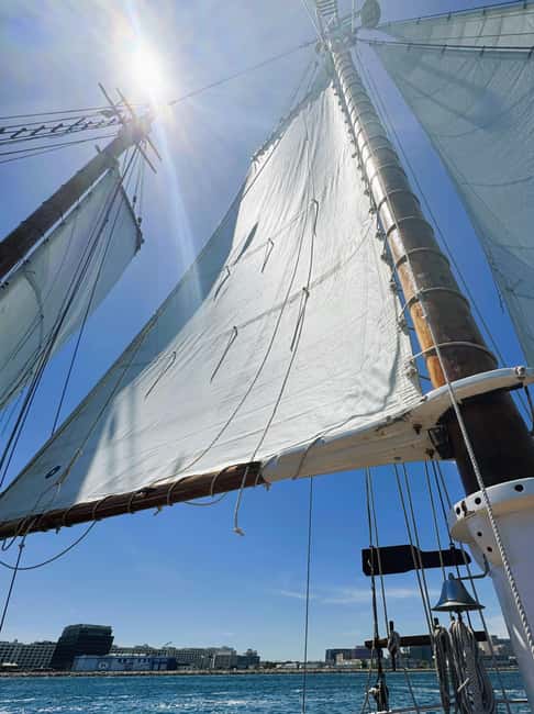 Boston: Tall Ship Harbor Sail - Hoisting sails and the hands-on part that makes it memorable