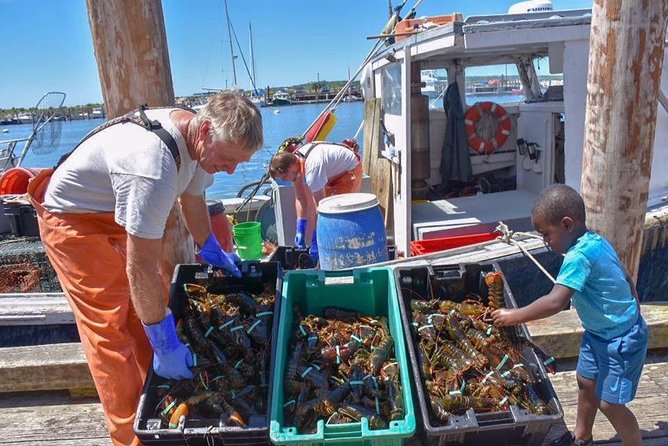 Boston to Kennebunkport with Optional Lobster Tour - From Boston to Kennebunkport, the point is the drive