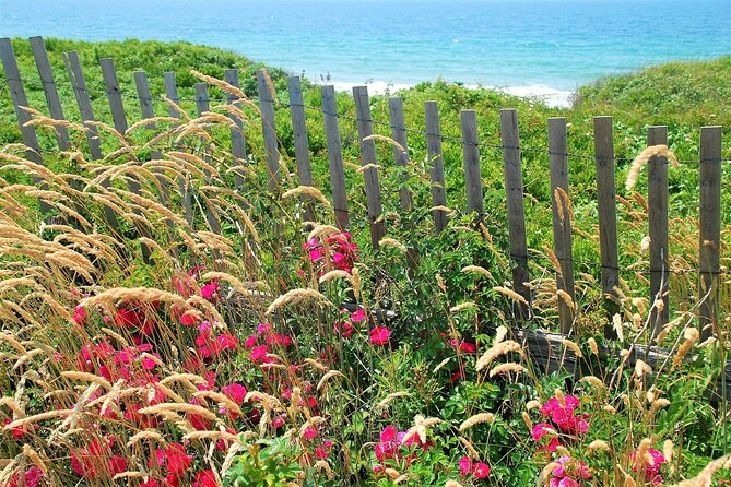 Boston to Martha's Vineyard Day Trip with Optional Island Tour - When you upgrade: the 3-hour island tour and its big highlights