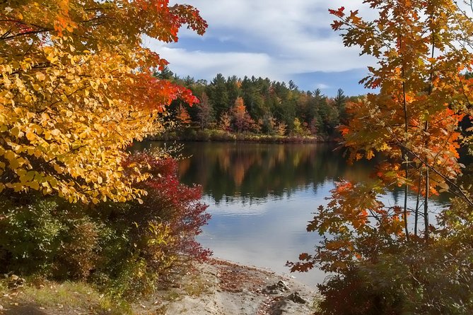 Boston to New Hampshire Fall Foliage White Mountains Day Trip - Should you book this Boston to White Mountains foliage trip?