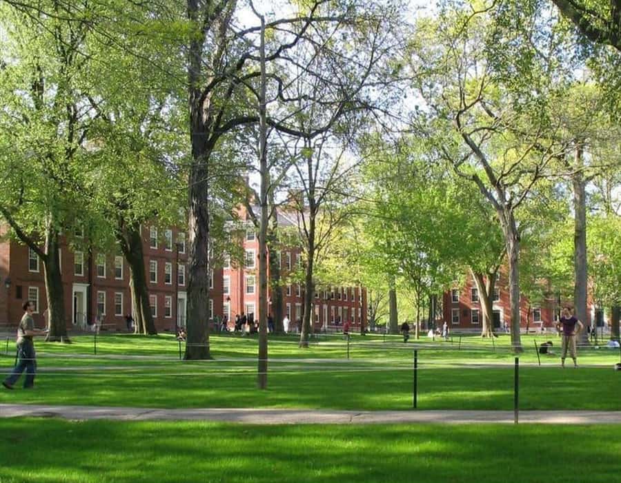 Cambridge, Massachusetts: MIT and Harvard Walking Tour - Who this tour is for, and who should skip it