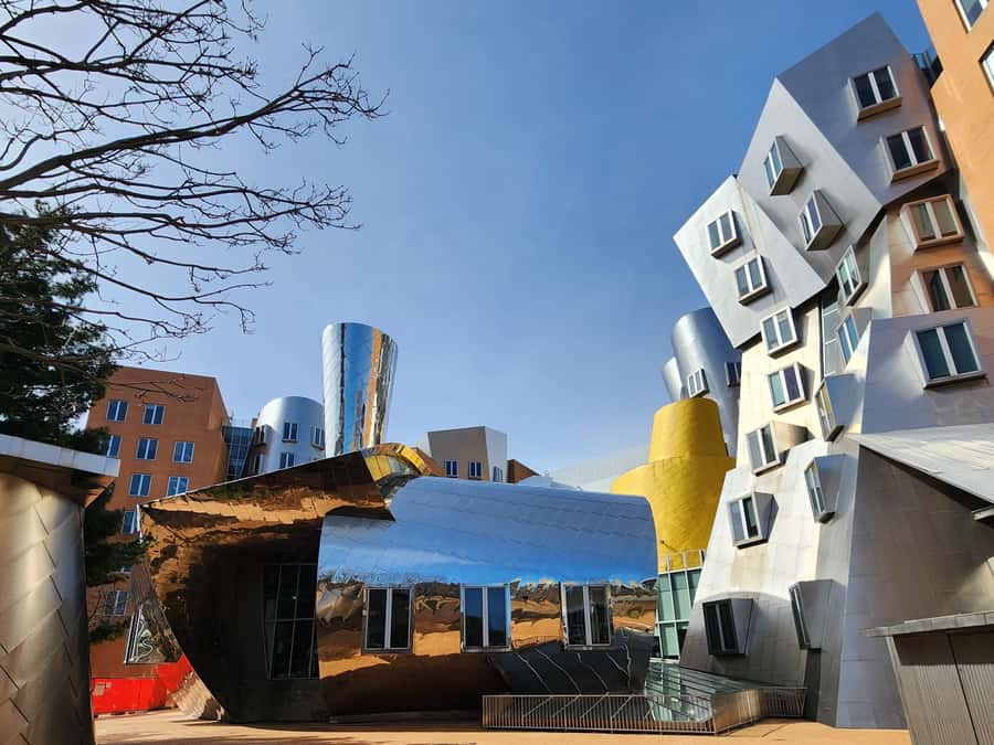 Cambridge, Massachusetts: MIT and Harvard Walking Tour - The “outside” details that make the MIT portion feel special