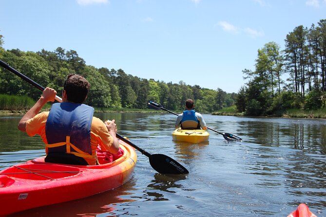Cape Cod Kayak Rentals in Popponesset Bay Mashpee - Getting on the water: sandy beach launch, gear in great shape