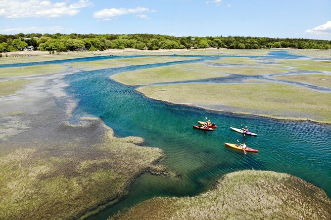 Cape Cod Kayak Rentals in the Great Marsh - Launch setup at the sandy beach: why the first 15 minutes matter