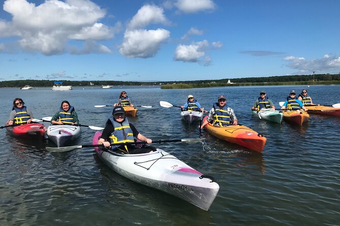Cape Cod Kayak Rentals in the Great Marsh - What you’ll do out on the marsh: pacing, possible swim time, and tide-friendly moments