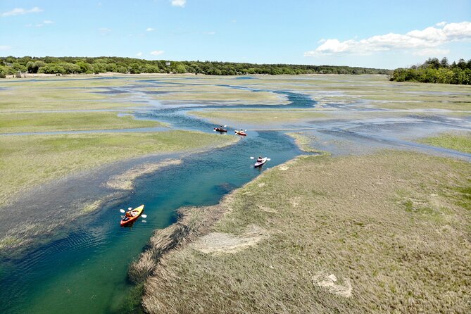 Cape Cod Kayak Rentals in the Great Marsh - Kayak comfort and equipment condition: what “top of the line” means in real life