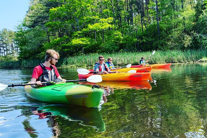 Cape Cod Kayak Rentals in the Great Marsh - Who this is best for: families, first-timers, and older paddlers