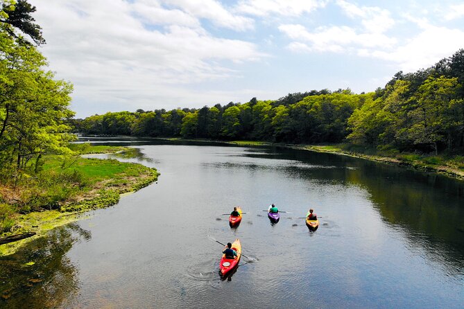 Cape Cod Sunset Kayak Tour - What to watch for on the day of the tour