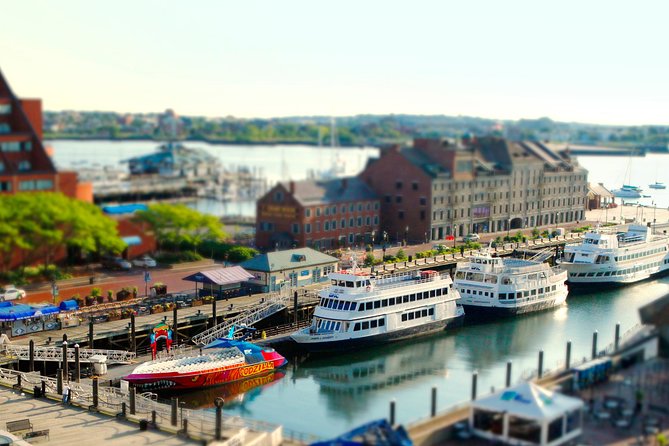 City Cruises Boston 90-Minute Harbor Sunset Sightseeing Cruise - Fort Independence: why this stop clicks for first-time visitors