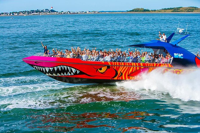 City Cruises Boston Codzilla High-Speed Thrill Boat Ride - Seating Strategy: Where You’ll Get Most Wet