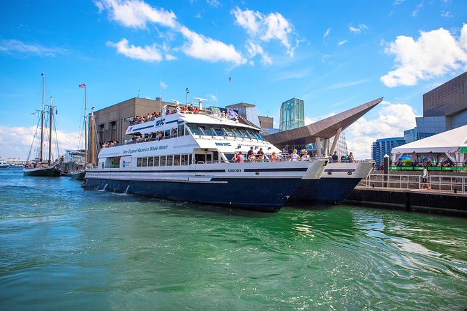 City Cruises Boston Whale Watching Cruise by High-Speed Boat - Long Wharf boarding, and the “be early” rule that matters