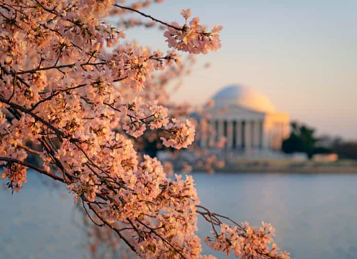 From Boston: 4-Day Tour to New York, D.C.&Niagara Falls - Key highlights worth planning around