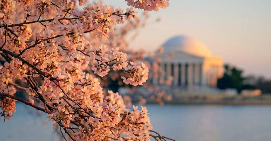 From Boston: 4-Day Tour to New York, D.C.&Niagara Falls - Day 1 in New York: Fortune Tour plus optional Liberty Cruise