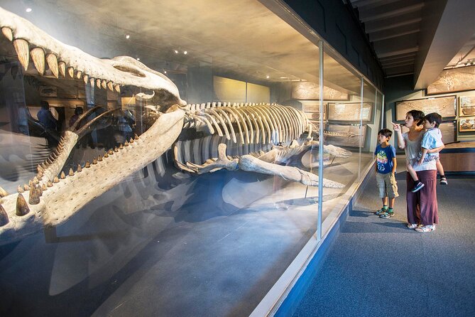 Go City: Boston Explorer Pass - Choose 2, 3, 4 or 5 Attractions - Museum of Science: hands-on STEM with timed expectations