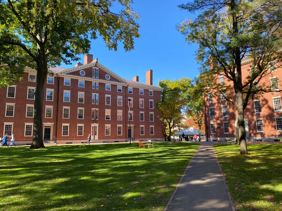 Harvard: America's oldest university - walking tour in French - What you get at the end: smart suggestions for museums