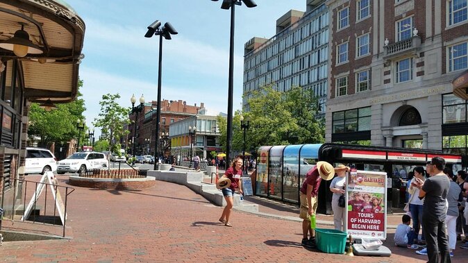 Harvard Square Chocolate Tour - Chocolate, history, and a smart way to tour Harvard Square