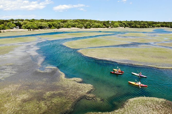 Kayak The Creek Nature Tour - Key Highlights Before You Go