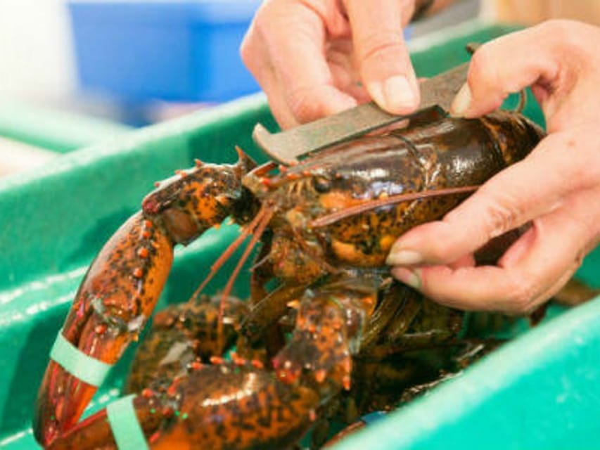 Kennebunkport, Maine: Lunchtime Culinary Walking Tour - What you will taste: chowder, lobster, whoopie pie, and the Maine hits