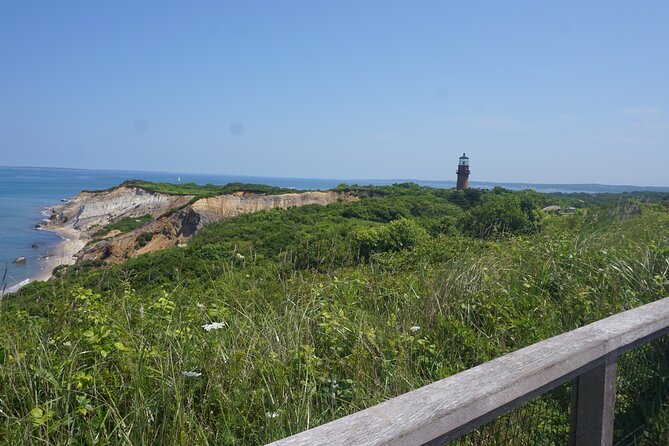 Martha's Vineyard Day Trip with Optional Island Tour from Boston - Oak Bluffs free time: how to use your 6 hours without wasting it