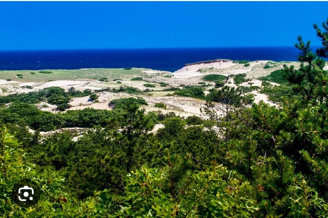 Mayflower Trolley Tour! - Provincelands National Park Views That Make the Ride Feel Longer